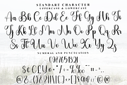 Rustic Wedding, a Handwritten Font by FreshTypeINK (Thumbnail 2 of 8)