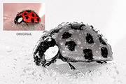 Drawing Photoshop Action, an Action Add-On by LUXDesignStudios (Thumbnail 5 of 6)