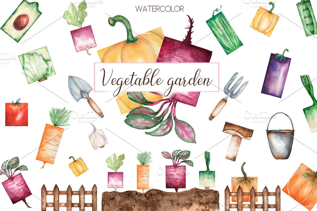 Watercolor vegetable garden, a Food Illustration by MayaNavits (Photo 1 of 10)
