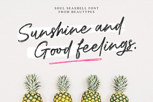 Soul Seashell - Brush Font