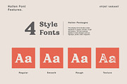 Hallen - Modern Classic Font, a Serif Font by Edignwn Type (Thumbnail 9 of 12)