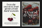 Quenor – Modern Editorial Serif Font, a Serif Font by shineink.designlab (Thumbnail 2 of 10)