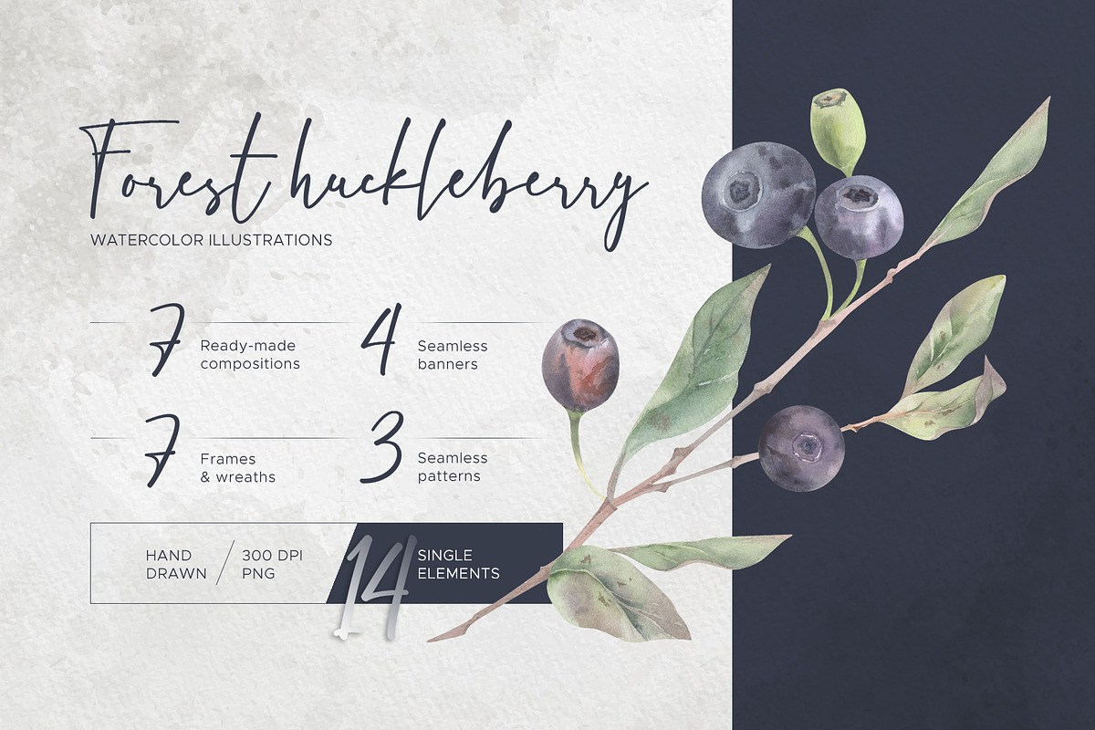 Forest huckleberry berries, a Food Illustration by MsFlaffy (Photo 1 of 11)