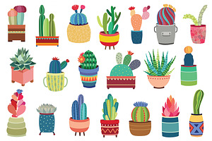 20 Succulents & Cactus Vector / PNG
