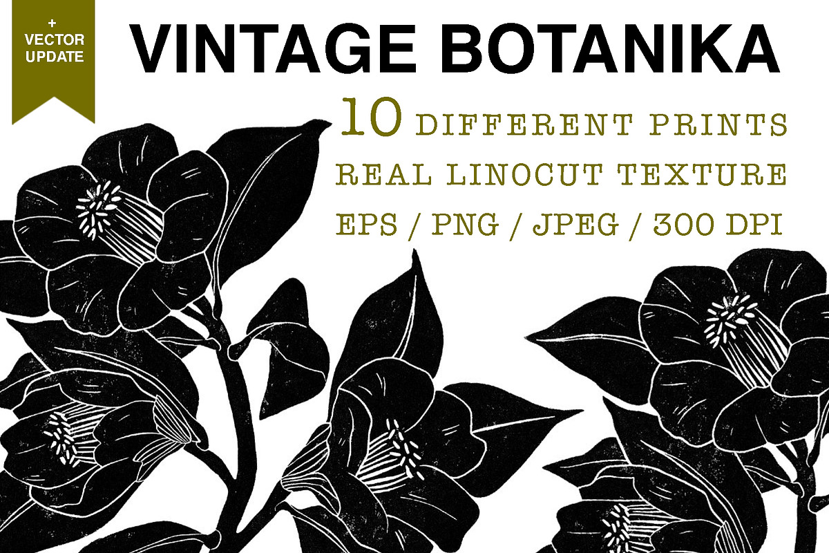 Vintage botanica, an Object Graphic by Mii Lab (Photo 1 of 8)