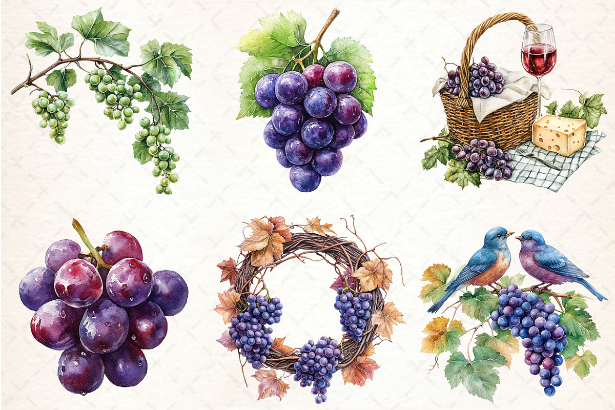Watercolor Grape Clipart, an Illustration by DreamCafeArt (Photo 3 of 7)