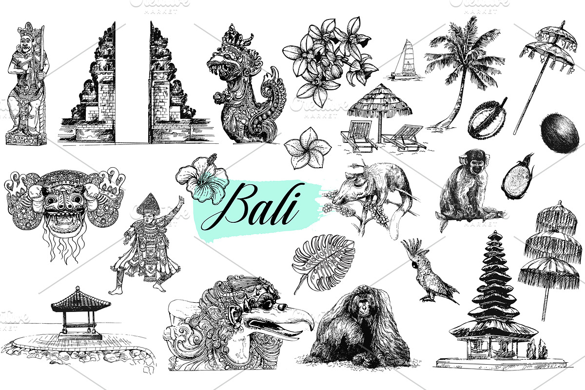 Bali, an Animal Illustration by Ecaterina Sciuchina (Photo 1 of 4)
