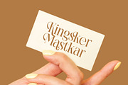 Rich Dashy Modern Elegant Serif, a Script Font by timelesstype.co (Thumbnail 16 of 20)