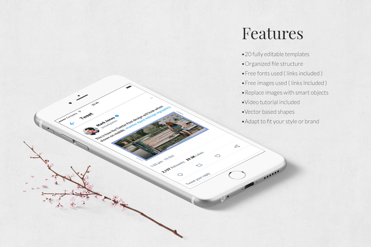 Boss Life Twitter Posts, a Social Media Template by Social Corner Graphics (Photo 3 of 7)