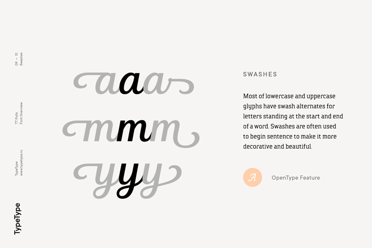 TT Polls, a Slab Serif Font by TypeType (Photo 11 of 18)