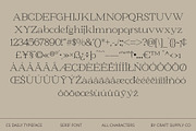 CS Daily – Serif Font, a Serif Font by Craft Supply Co. (Thumbnail 8 of 8)