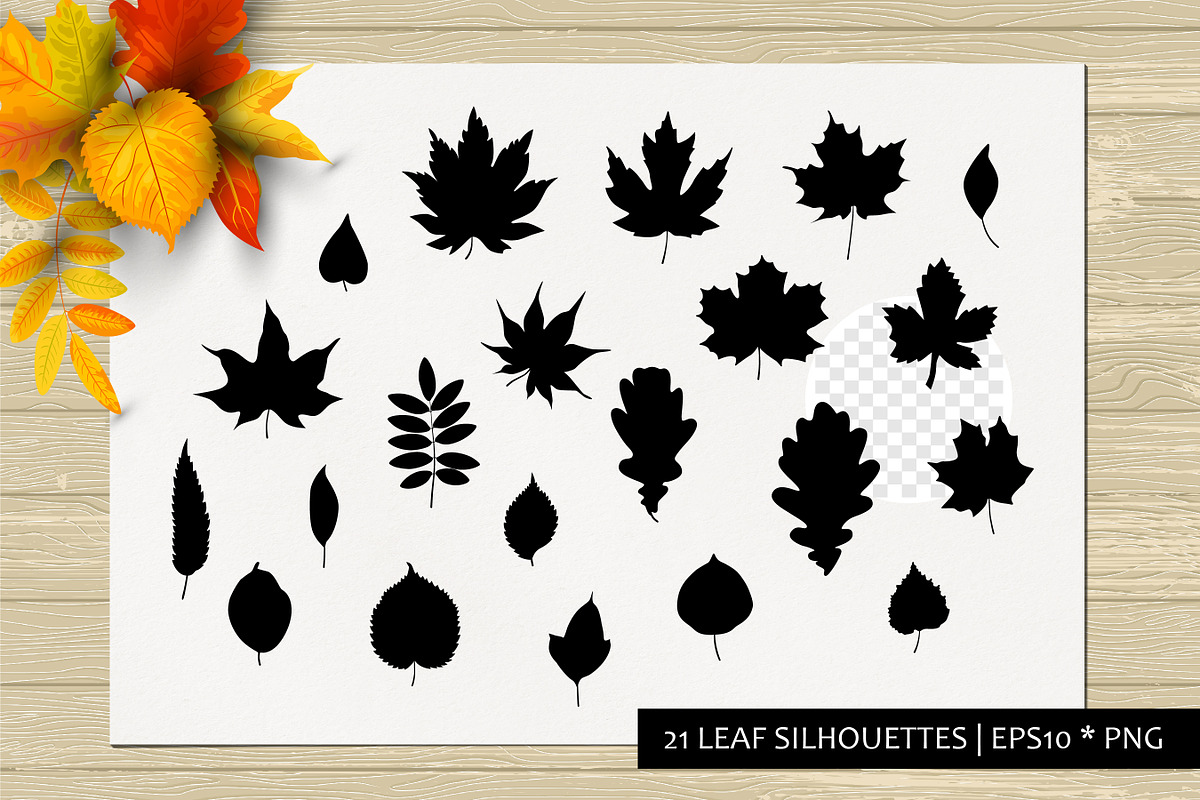 Autumn leaves vector collection, a Seasonal Illustration by VaraNa Art (Photo 7 of 15)