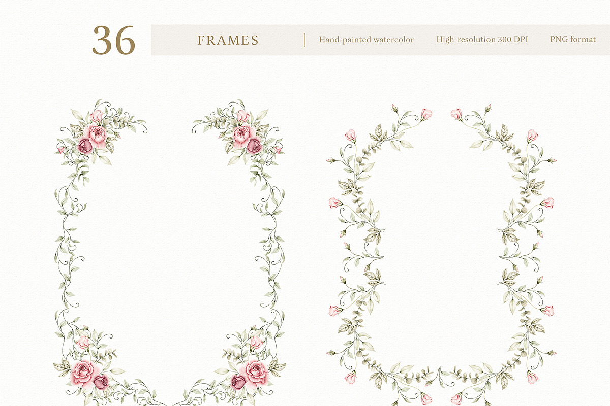 Watercolor Blush Roses Floral Set, a Decorative Illustration by Carol Lozove (Photo 10 of 50)