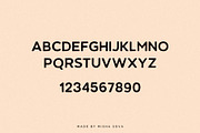 CITRUS GARDEN - vintage sans serif, a Sans Serif Font by Misha Sova (Thumbnail 10 of 11)