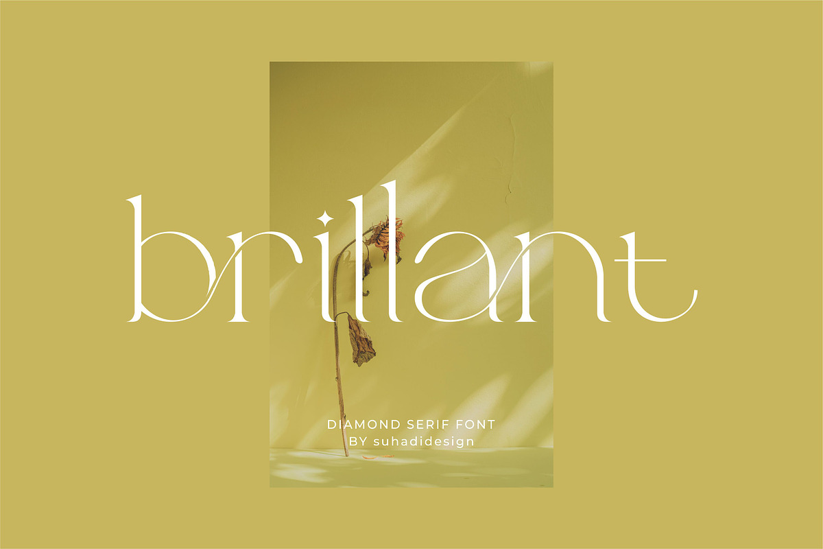 Brillant - Stylish Ligature Serif, a Serif Font by suhadidesign (Photo 1 of 10)
