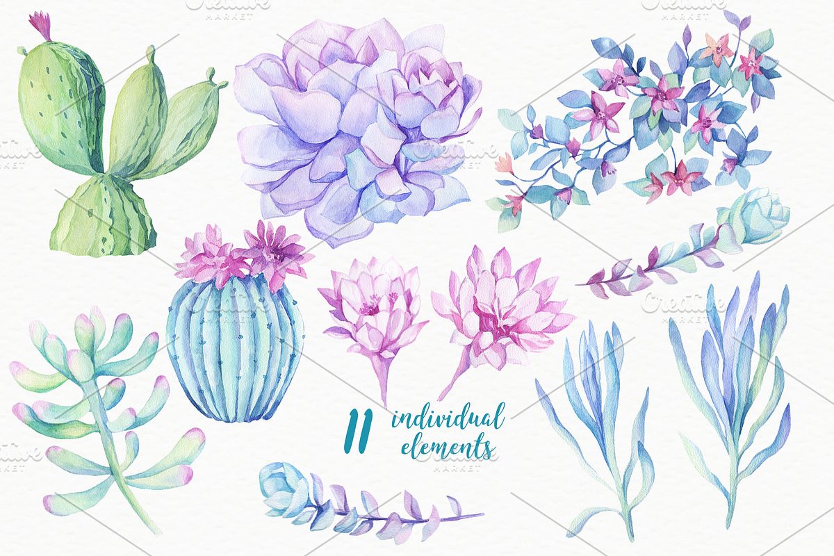 SALE! Succulents & Cactuses, an Illustration by Irina Diasli (Photo 5 of 8)