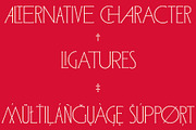 ED Lochaline, a Serif Font by Emyself Design (Thumbnail 6 of 12)