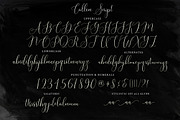 Callem, a Script Font by Genesis Lab (Thumbnail 7 of 7)