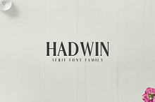 Hadwin Serif Font Family Pack