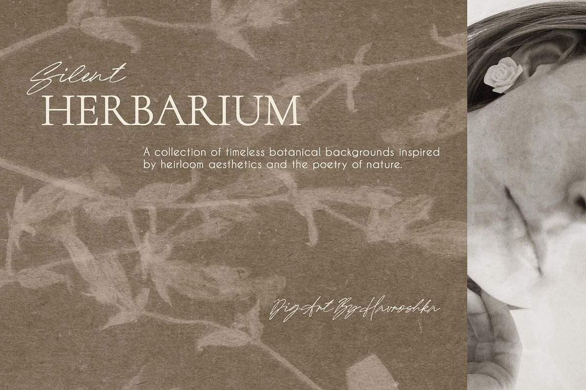 Silent Herbarium Botanical Textures, a Background Graphic by DigARTbyHavroshka (Photo 11 of 11)