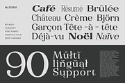 Refagio Modern Serif Family 92 Fonts, a Serif Font by MjStudio31 (Thumbnail 14 of 15)