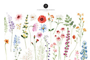 Watercolor Flower - Delicate Wild, a Decorative Illustration by Beigetime (Thumbnail 3 of 16)