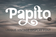Papito | Retro Serif Display Font, a Serif Font by MchCrafter (Thumbnail 1 of 14)