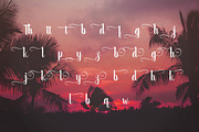 September Script, a Font by Font Bundles (Thumbnail 6 of 7)