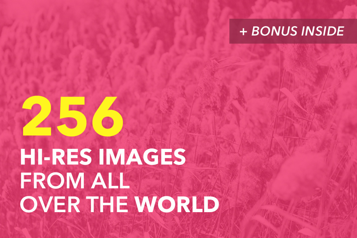 256 Hi-Res Image Pack + BONUS preview 6