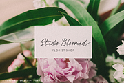 Bristleback, a Script Font by Shopifont.co (Thumbnail 11 of 13)
