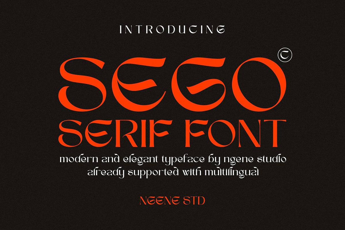 Sego Serif Font, a Serif Font by ngene (Photo 1 of 11)