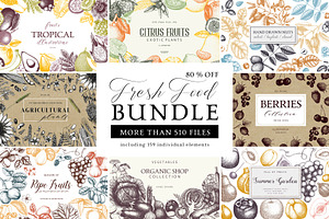 BUNDLE - Fresh Food Vector & Designs