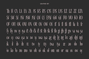 SS Lavonadeca - Flourish Serif Font, a Serif Font by Typocracy Studio (Thumbnail 12 of 15)