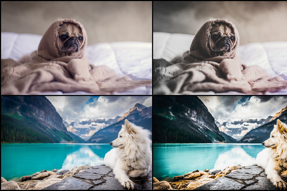 7000+ Professional Lightroom Presets, a Layer Style Add-On by Eldamar Studio (Photo 3 of 33)