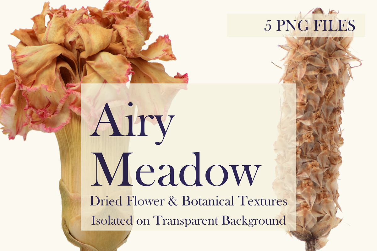 Airy Meadow – Dried Flower & Meadow, an Object Graphic by Aga Silva (Photo 5 of 7)