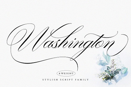 Washington | Stylish Script Family, a Script Font by Sealoung