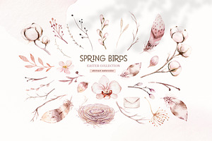 Watercolor Spring Birds Collection