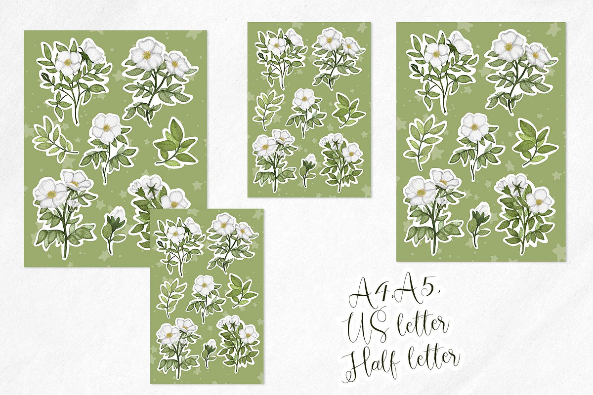 Cherokee rose clipart pattern set, a Decorative Illustration by Yelloo Fish (Photo 19 of 21)