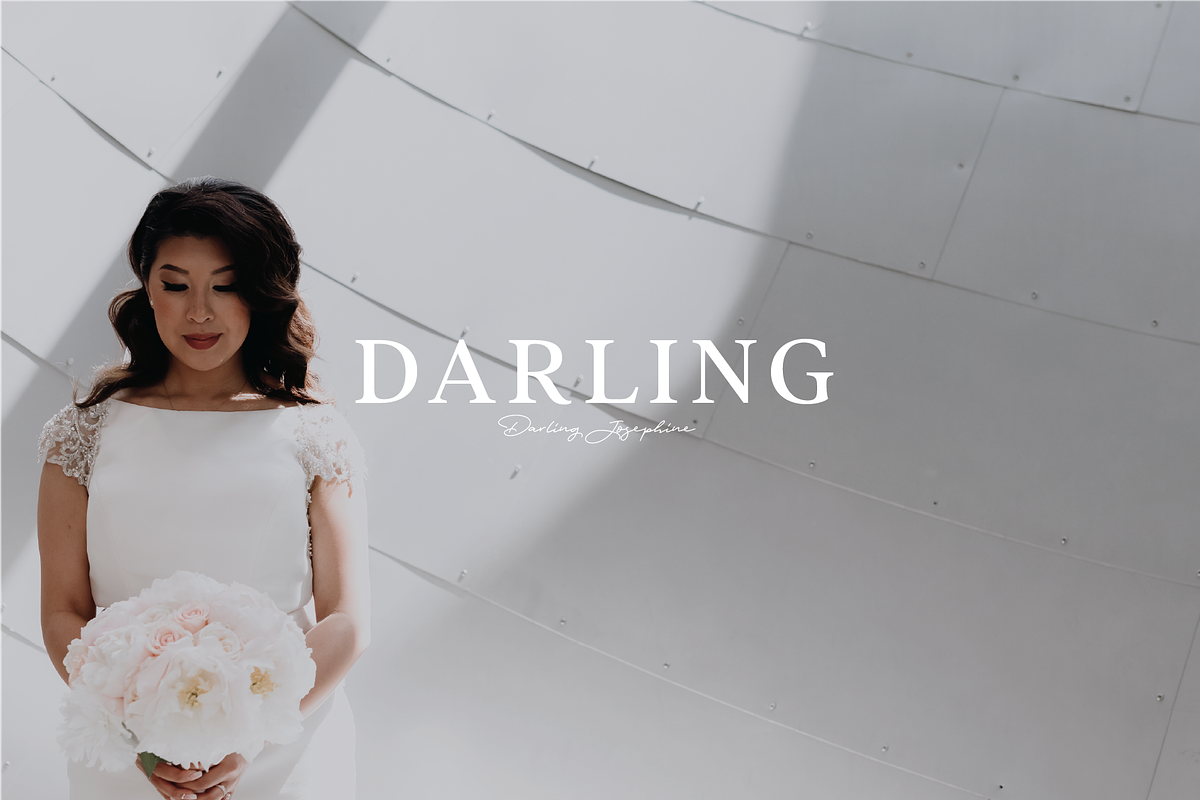 DREAMY WEDDING PRESET BUNDLE, an Action Add-On by Darling Josephine (Photo 1 of 25)