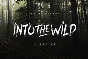 Into The Wild Typeface