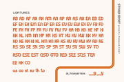 Stoner Sport Typeface, a Script Font by alit design (Thumbnail 11 of 15)