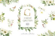 Watercolor set of Forest Greenery, an Illustration by Elena Medvedeva (Thumbnail 1 of 15)