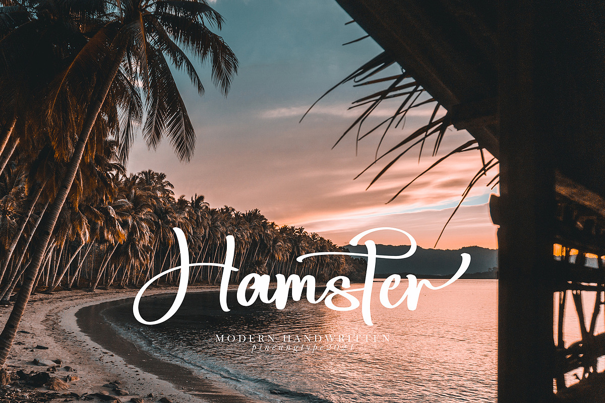Banita Ralina, a Script Font by pineungtype (Photo 3 of 11)