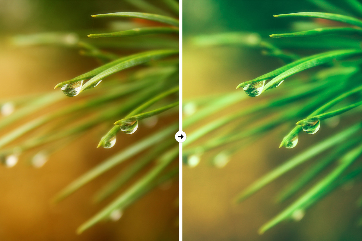 8 Rainy Day LR & PS Presets, an Action Add-On by M E G A S E T S (Photo 8 of 11)