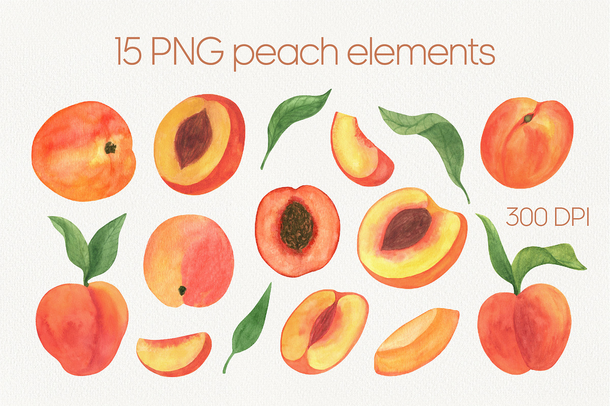 Peach fruit watercolor clipart PNG, a Food Illustration by Anntre (Photo 2 of 4)