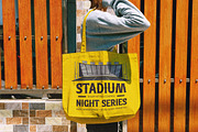 Southern Baseball Retro Athletic, a Serif Font by timelesstype.co (Thumbnail 9 of 15)