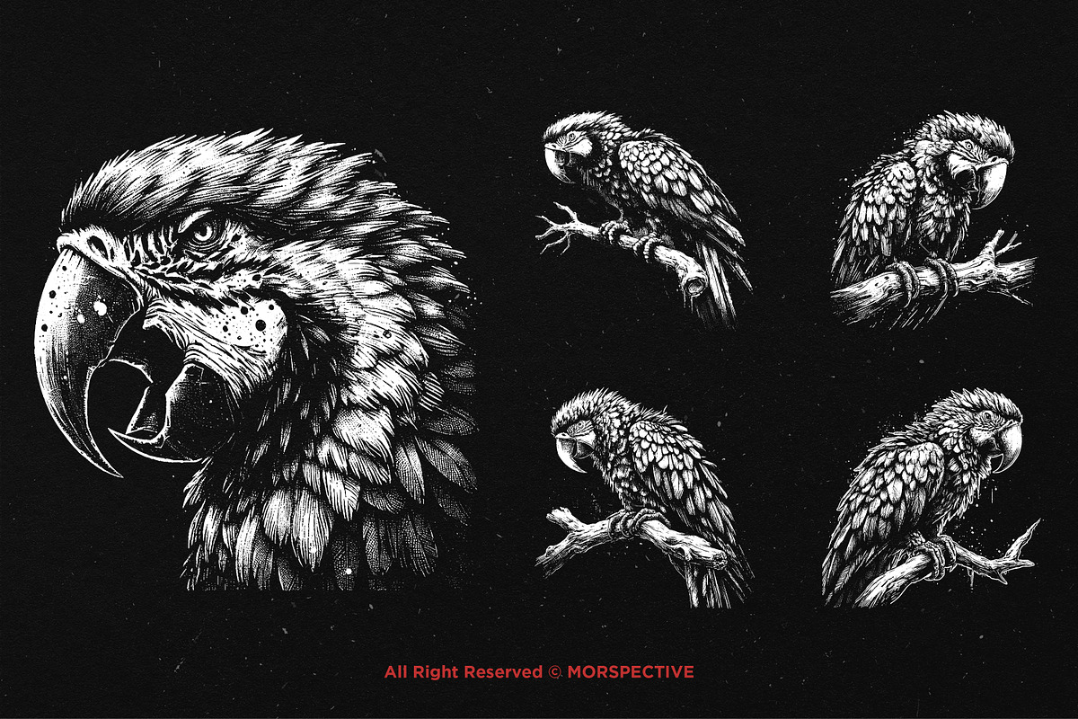 10 Bundle Dark Art Macaw Bird Parrot, an Illustration by Morspective (Photo 3 of 7)