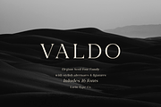 Valdo Font Family, a Serif Font by Larin Type Co. (Thumbnail 1 of 15)