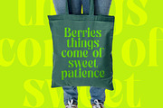 Zefta Bold Tall Modern Serif Font, a Serif Font by timelesstype.co (Thumbnail 2 of 20)