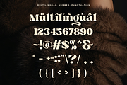 Melika - Modern Serif Font, a Serif Font by Font Liner (Thumbnail 13 of 13)